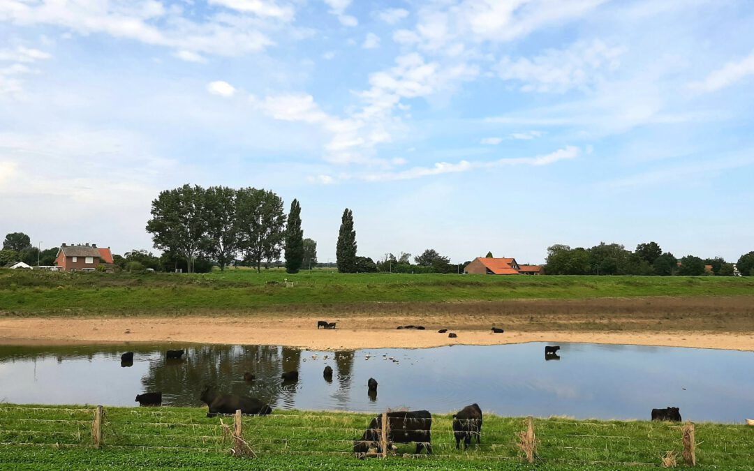 Illikhoven mist wandelpaden in nieuw natuurgebied