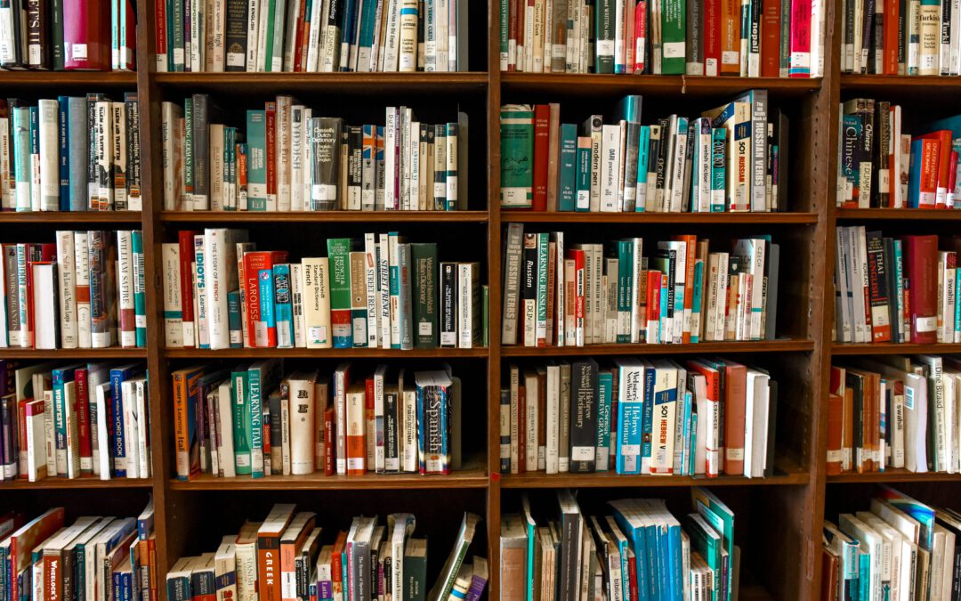 Minister trekt beurs voor een nieuwe bibliotheek in Echt-Susteren