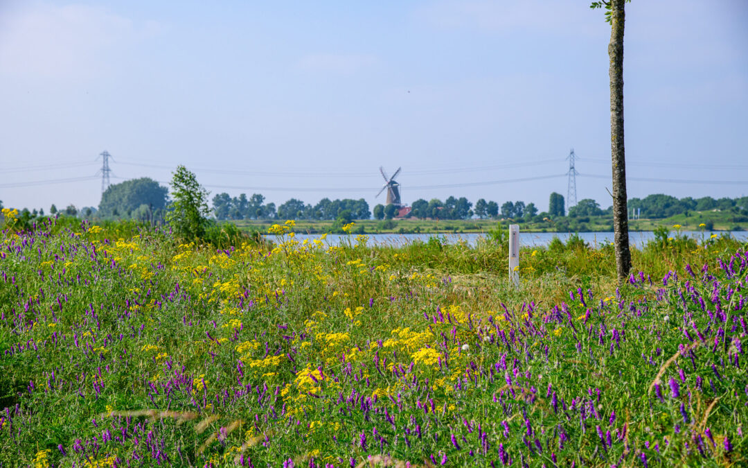 Na regen komt zonneschijn én de zomer: wel nog even volhouden