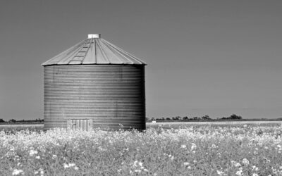 Mestsilo Vlodrop: sluiting opgeheven
