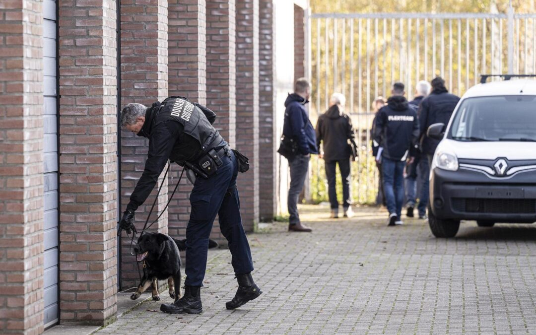Hennepkwekerijen en gestolen auto’s ontdekt bij acties tegen ondermijnende criminaliteit in Midden-Limburg