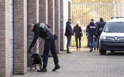 Hennepkwekerijen en gestolen auto’s ontdekt bij acties tegen ondermijnende criminaliteit in Midden-Limburg