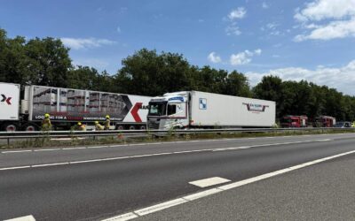 Vertraging op A2 bij Maasbracht door pallet op de weg: meerdere voertuigen beschadigd
