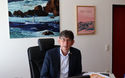 Inspraak windmolens: Burgemeester Selfkant vangt bot in Echt-Susteren