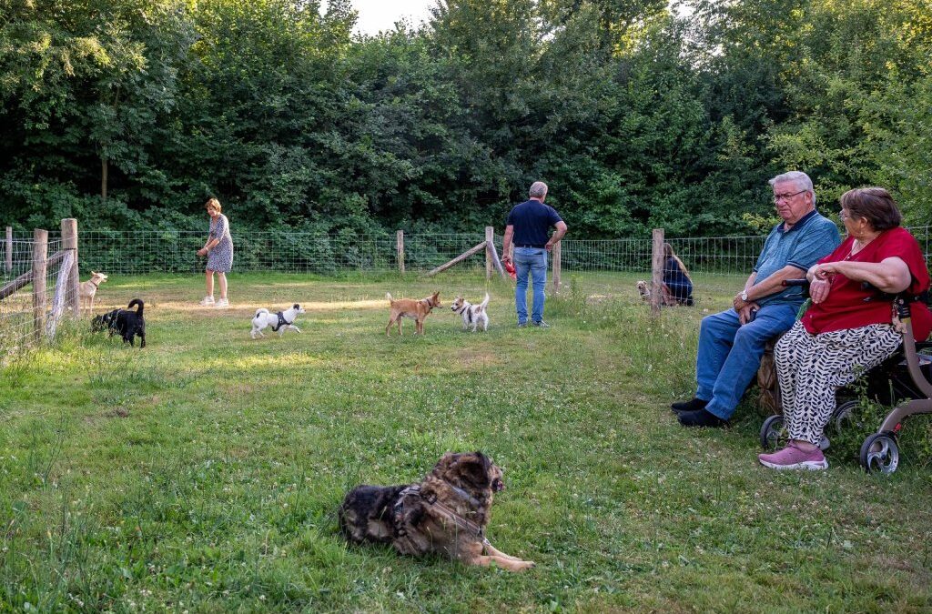 Meer ruimte en gemak voor hond en baas