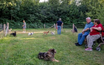 Meer ruimte en gemak voor hond en baas