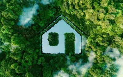 Slim omgaan met uw woning, tuin en portemonnee? Bezoek de duurzaamheidsmarkt!