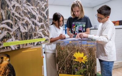 Rondreizende expositie laat kinderen kennismaken met bijzondere dieren