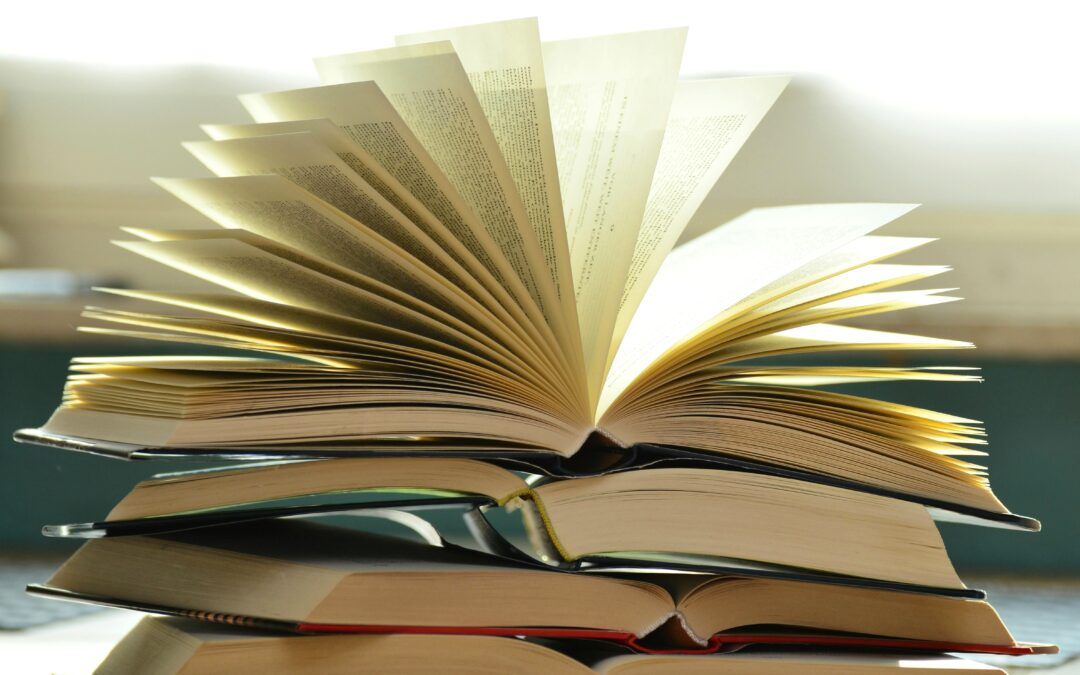 Persbericht: activiteiten tijdens en rondom de opening van de nieuwe bibliotheek Echt-Susteren.