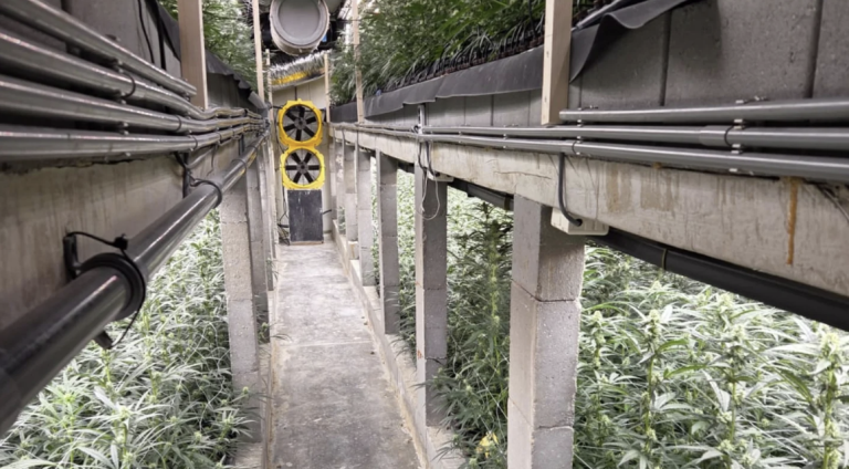 Drugspand Koningsbosch gesloten