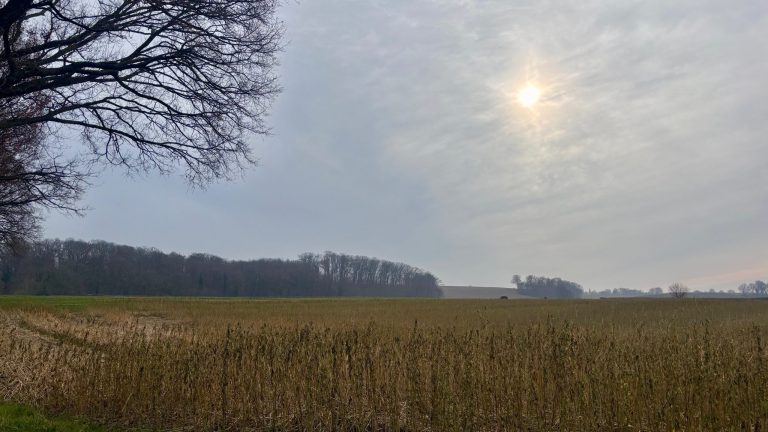 Droog en zonnig weer houdt aan in Midden-Limburg