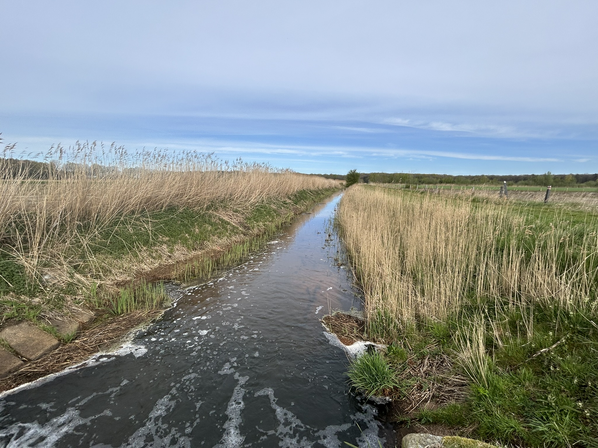 Zacht en vaak droog lenteweer in Midden-Limburg, met vooral halverwege de week veel zon