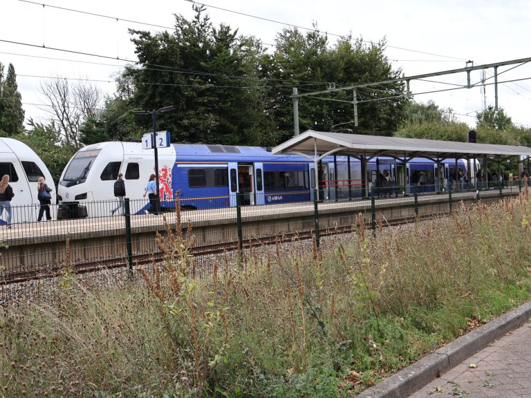 Arriva start meldpunt veiligheid in Limburgse treinen