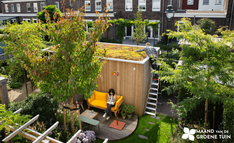 Maand van de Groene Tuin roept Limburgers op om onkruid te laten staan.
