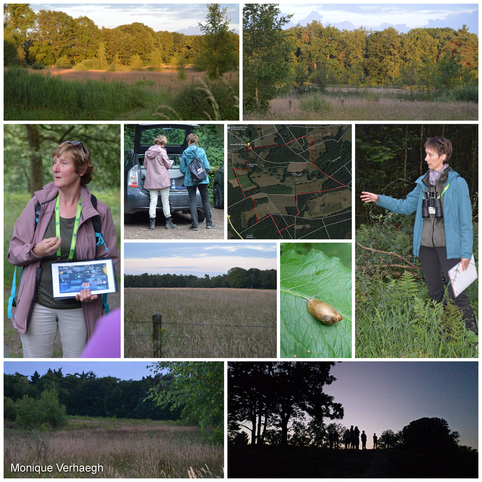 Weekendagenda: wandelen, kunst en cultuur