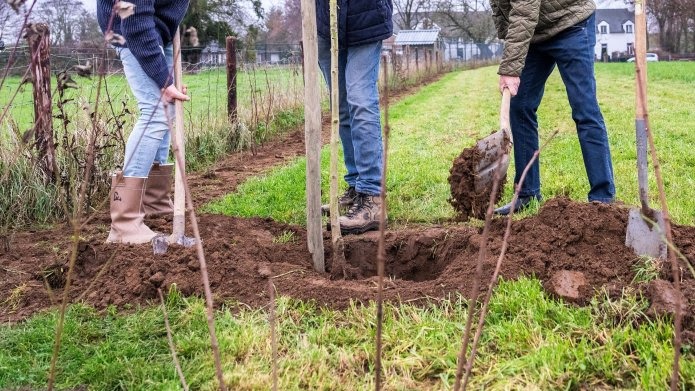 Aanplantregeling landschapselementen.