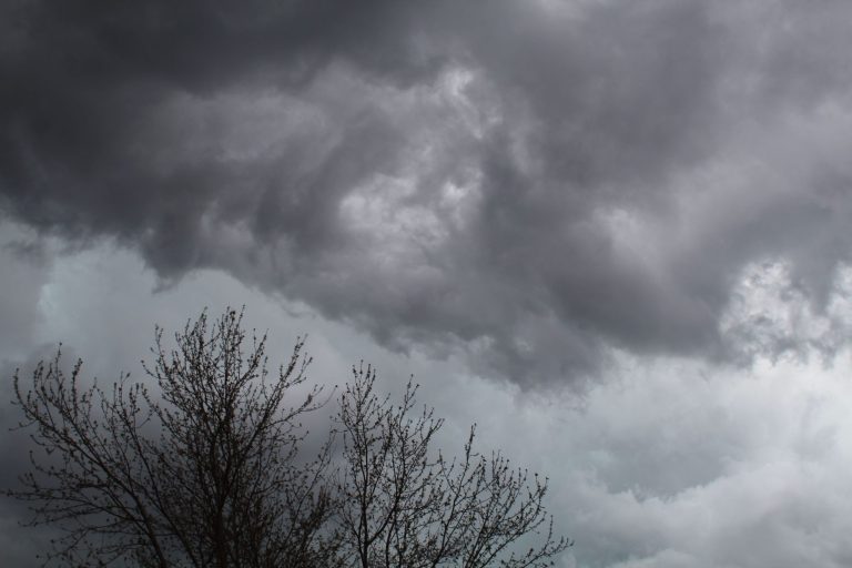 Storm Austen raast vrijdagavond met zware windstoten over Limburg, code geel
